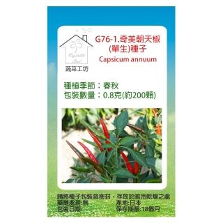 【蔬菜工坊】G76-1.奇美朝天椒種子(單生)