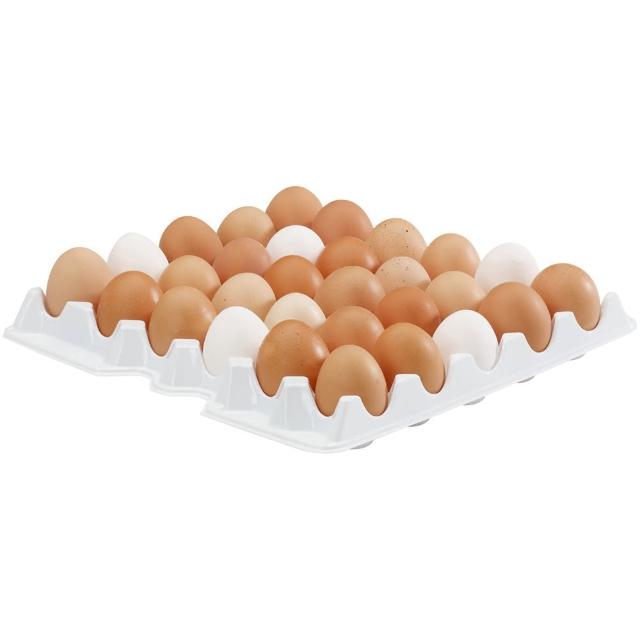 【Vega】30格雞蛋收納盒(冰箱收納盒 蔬果收納盒 分層分格)