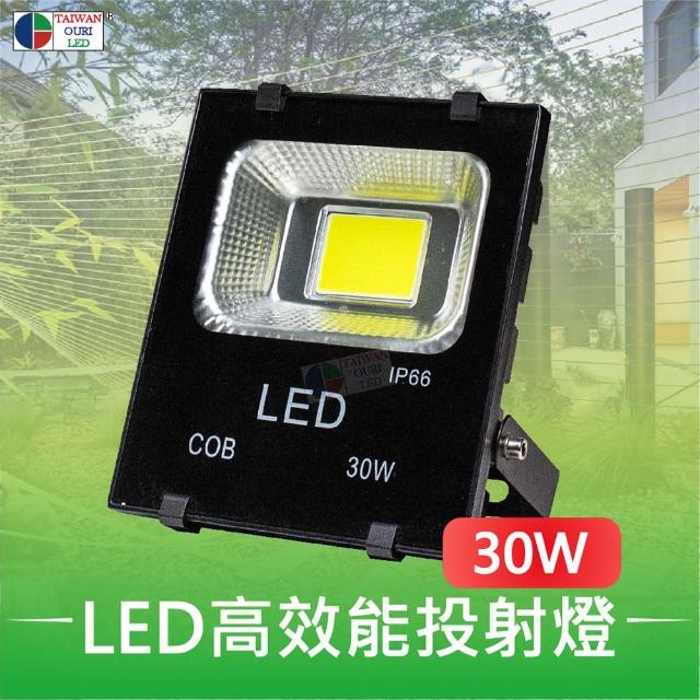 【台灣歐日光電】LED防水投射燈 30W白光 IP66防護等級(投光燈6000K 110V 220V)