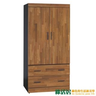 【綠活居】麥菲凱 時尚2.7尺二門二抽衣櫃/收納櫃