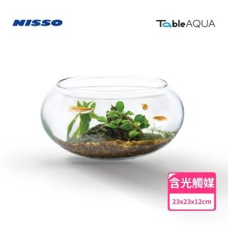 【NISSO 尼索】Table AQUA Flat M 景觀生態套缸組(桌上型 魚缸 擺飾)