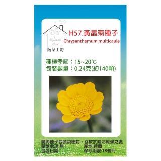 【蔬菜工坊】H57.黃晶菊種子