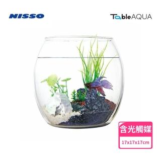 【NISSO 尼索】Table AQUA Drum 景觀生態套缸組(桌上型 魚缸 擺飾)