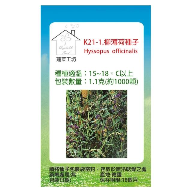 【蔬菜工坊】K21-1.柳薄荷種子(神香草.海壽花)