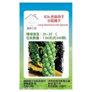 【蔬菜工坊】B26.長島抱子甘藍種子