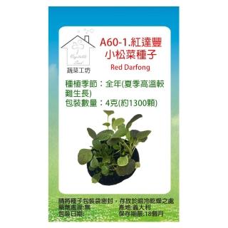【蔬菜工坊】A60-1.紅達豐小松菜種子(寶貝菜.貝比生菜)