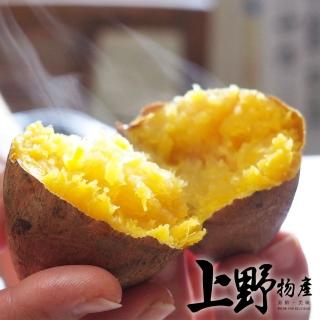 【上野物產】選用台農57號 冰烤地瓜10包(500g±10%/包 地瓜 番薯 甜點 素食)