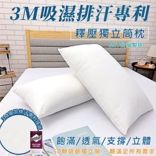 【亞汀】台灣製 3M吸濕排汗獨立筒枕(一入)