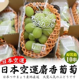 【WANG 蔬果】日本長野/山梨縣溫室麝香葡萄10串x1箱(350g/串_原裝箱)