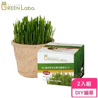 【GREEN Labo】日本DIY新鮮貓草(2入組)