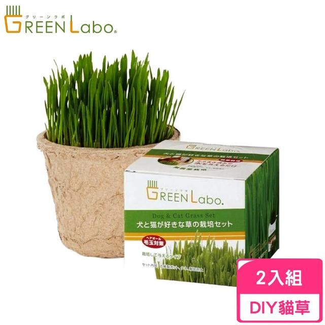 【GREEN Labo】日本DIY新鮮貓草(2入組)