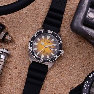 【CITIZEN 星辰】PROMASTER 200米潛水機械錶腕錶 男錶 禮物 手錶(NY0120-01X)