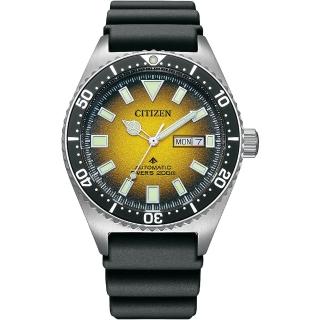 【CITIZEN 星辰】PROMASTER 200米潛水機械錶-41mm/河豚 母親節 禮物(NY0120-01X)