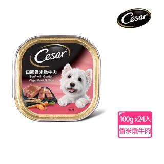 【Cesar 西莎】經典風味餐盒 100g*24入 香米燉牛肉