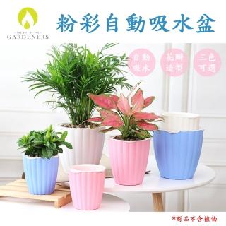 【Gardeners】粉彩自動吸水盆-1入(懶人花盆)