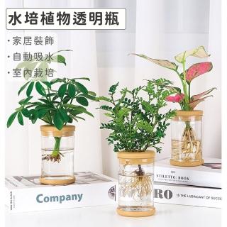 【Gardeners】水培植物透明瓶-1入(室內盆器吸水盆水耕水培植物)