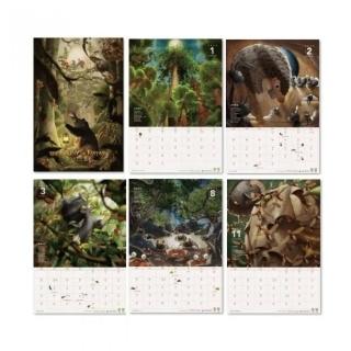 林業保育署2024「奇幻之森」月曆
