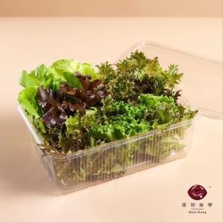 【ShineWong 果物美學】美學生菜200g*4盒(盒裝溫室類水耕美生菜)