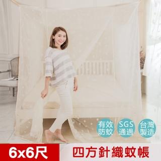 【凱蕾絲帝】雙人加大6尺100%台灣製造-大空間專用耐用針織蚊帳-開單門(米白)
