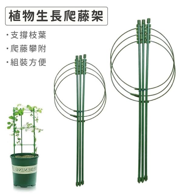 【Gardeners】植物生長爬藤架 90CM(植物生長支架種花爬藤架花支架)