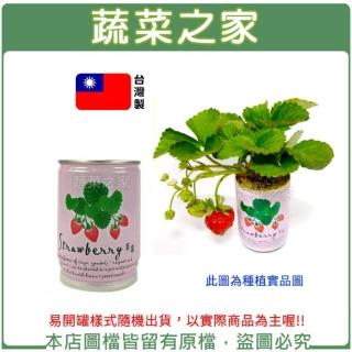 【蔬菜之家】iPlant易開罐花卉-草莓(最新發明專利設計)