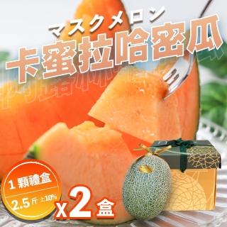【果樹寶石】溫室卡蜜拉橘肉大顆哈密瓜1入禮盒x2盒（2.5斤/顆）(下單才採最新鮮 農場常溫直送)