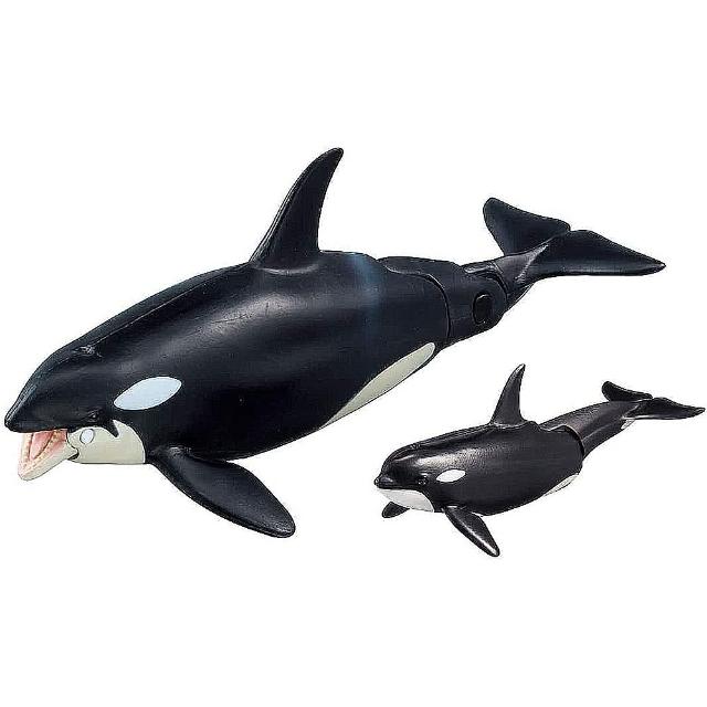 【TAKARA TOMY】ANIA 多美動物 AL-08 虎鯨 漂浮版(男孩 動物模型)