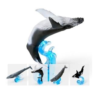 【BANDAI 萬代】轉蛋 生物大圖鑑 藍鯨 鯨鯊 座頭鯨 抹香鯨 鯨魚 全四種 約12公分(日版)