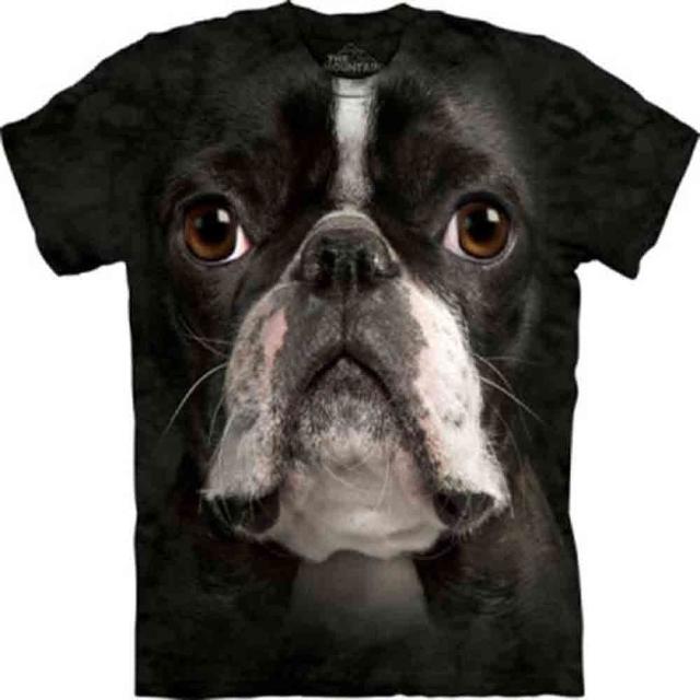 【摩達客】美國進口The Mountain 波士頓梗犬 設計T恤(現貨)