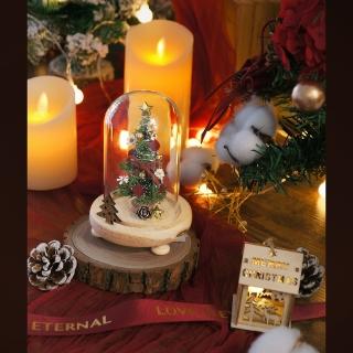 【KIRA與花花藝】聖誕獻禮．迷你永生聖誕樹LED玻璃罩小款-聖誕紅(夜燈/聖誕禮物/聖誕節/交換禮物/聖誕樹)