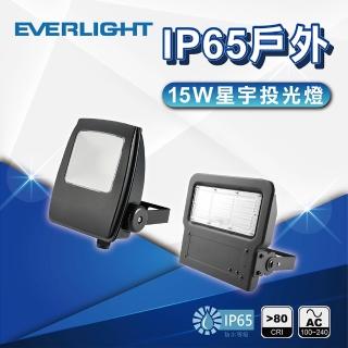 【Everlight 億光】15W 星宇投光燈 全電壓 IP65