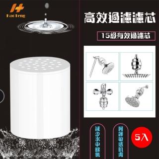 【Hao Teng】15層前置除氯過濾器 沐浴過濾器 濾芯 5入組(15層高效過濾)
