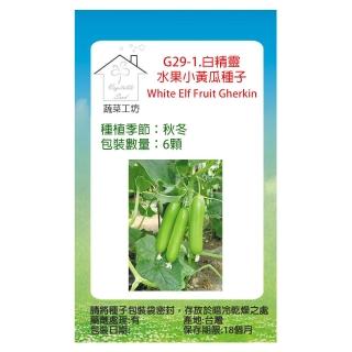 【蔬菜工坊】G29-1.白精靈水果小黃瓜種子(全雌水果小胡瓜)