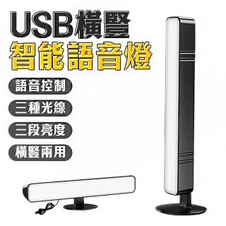 【FJ】智能語音USB供電橫豎聲控燈MZ6(2入組)