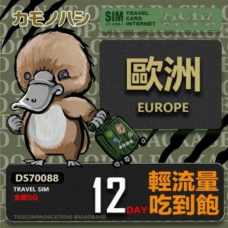【鴨嘴獸 旅遊網卡】Travel Sim 歐洲12天上網卡 歐洲上網卡(輕量型上網 歐洲網卡 吃到飽網卡)
