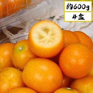 【愛蜜果】台灣產 日本金桔/甜橘/一口柑 X4盒(600克+-5%/每盒_箱裝)