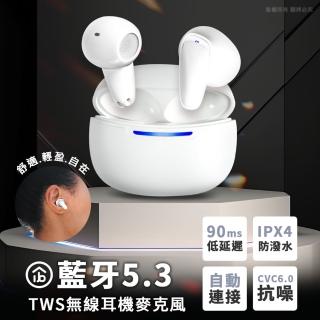 【aibo】BTDX 真無線TWS 智能觸控藍牙V5.3耳機麥克風(搭載充電盒)
