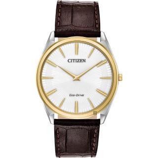 【CITIZEN 星辰】光動能薄型手錶 送行動電源(AR3074-03A)