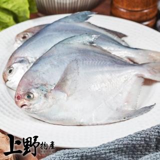 【上野物產批發館】小白鯧(150g±10%/2隻/包 魚/海鮮/鯧魚)