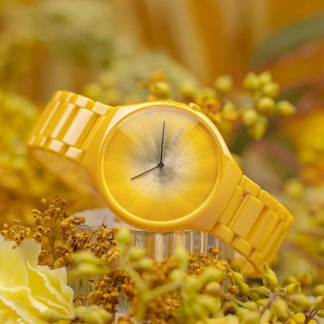 【Rado 雷達表】真薄系列 世界花園高科技陶瓷石英手錶 R03(R27122252)