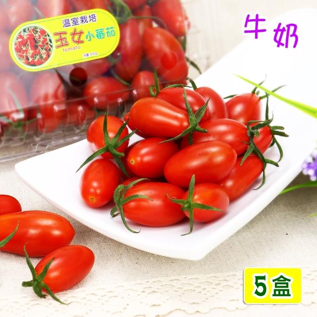 【愛蜜果】台灣溫室玉女牛奶小蕃茄X5盒(600克+-5%/盒)