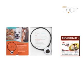 【美國ASSISI LOOP】居家照護脈衝電磁項圈(20cm/中大型犬貓適用/老年動物/手術恢復)
