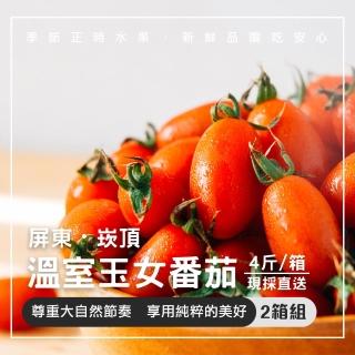 【美夢成真GCI】屏東溫室栽培玉女小番茄-4斤裝x2箱組(產地新鮮直送享受酸甜好滋味)