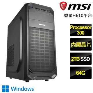 【微星平台】Processor雙核 Win11P{橙光微微}文書電腦(Processor-300/H610/64G/2TB)