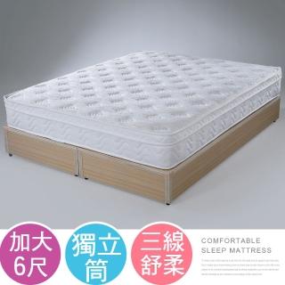 【Homelike】蘇菲三線舒柔獨立筒床墊(雙人加大6尺)