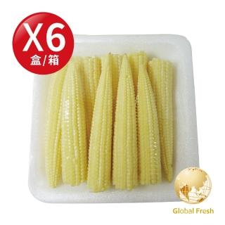 【盛花園蔬果】泰國非基因玉米筍100g x6盒(改良品)