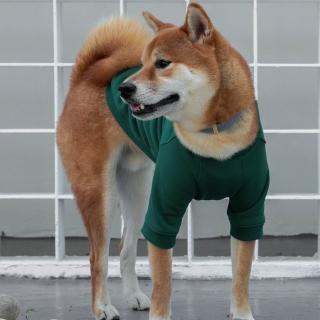 【CAMPET】VARSITY 美式刺繡大學T-復古綠-S-L(寵物保暖衣)