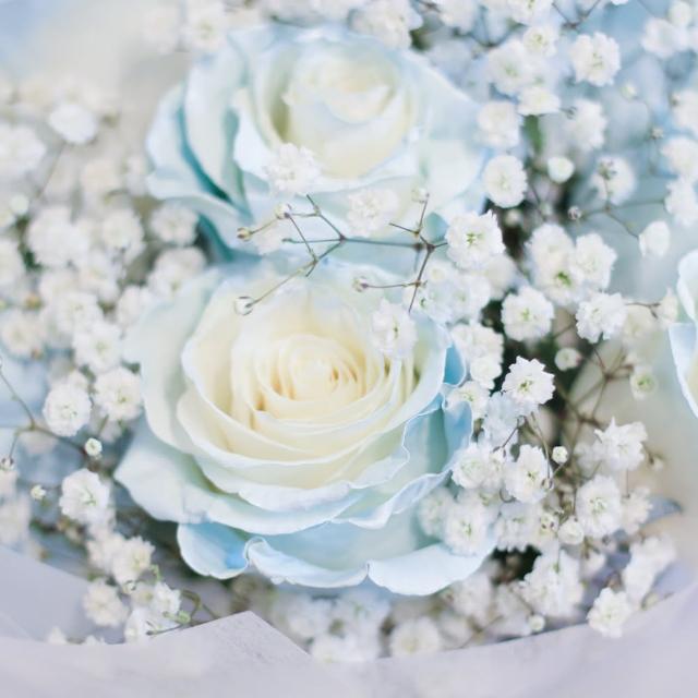 【玉屋TAMAYA】晴空藍白玫瑰花束 8朵(鮮花 情人節 開幕升遷 發表會 生日祝賀 告白 紀念日 畢業祝福)