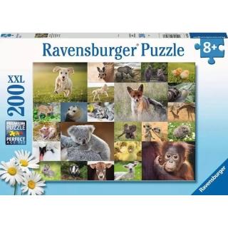 【Ravensburger】維寶拼圖 動物寶寶 200片