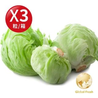 【盛花園蔬果】雲林結球萵苣美生菜300g±10%/粒(3粒/箱)